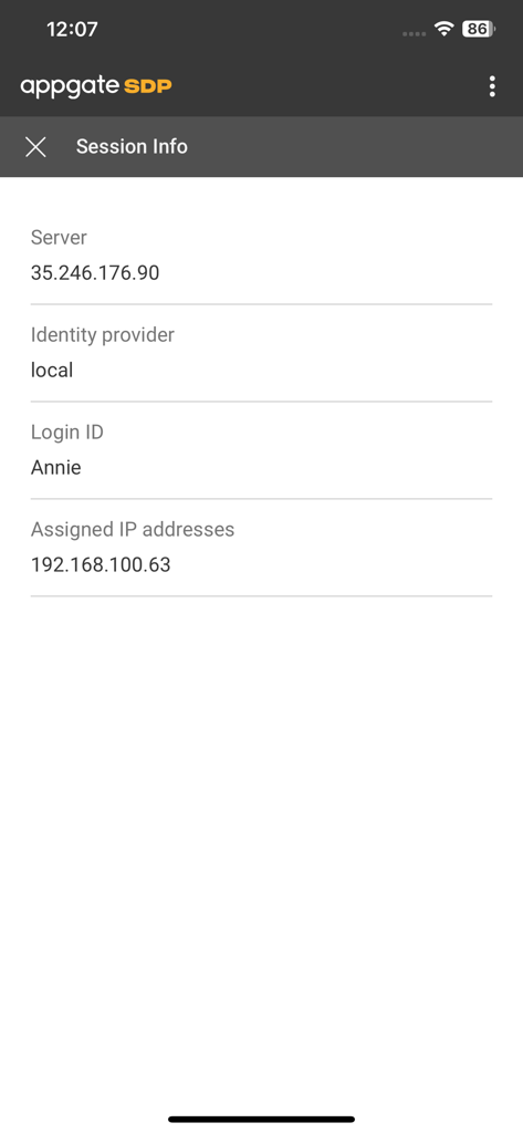 Pantalla de información de sesión de Appgate SDP que muestra detalles del servidor y del inicio de sesión
