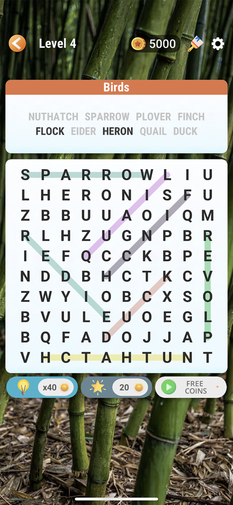 Word Search - Find Hidden Word - Una colorida cuadrícula de puzle de sopa de letras con nombres de pájaros y un fondo de bosque de bambú.