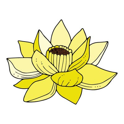 flowers_08