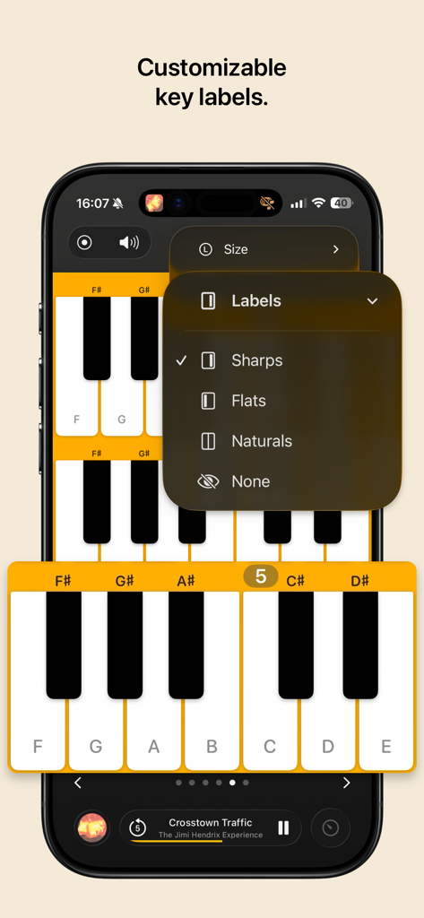 I Love a Piano - I Love a Piano app interface showing a menu for customizable key labels including sharps and flats.