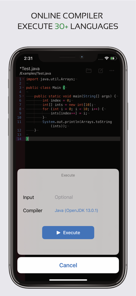 Schermata di un editor di codice mobile con codice Java e una finestra di esecuzione del compilatore online.
