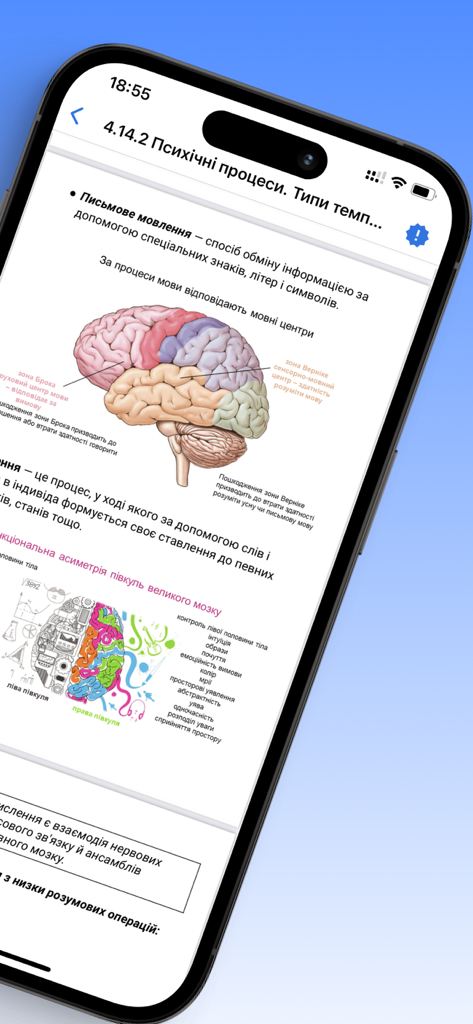 Просте ЗНО/НМТ - Lernmaterial über das menschliche Gehirn und mentale Prozesse in der Proste ZNO Bildungs-App