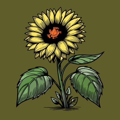 realistic sunflower