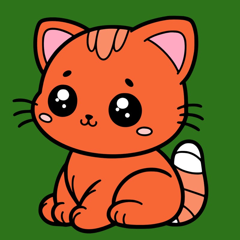 kitty