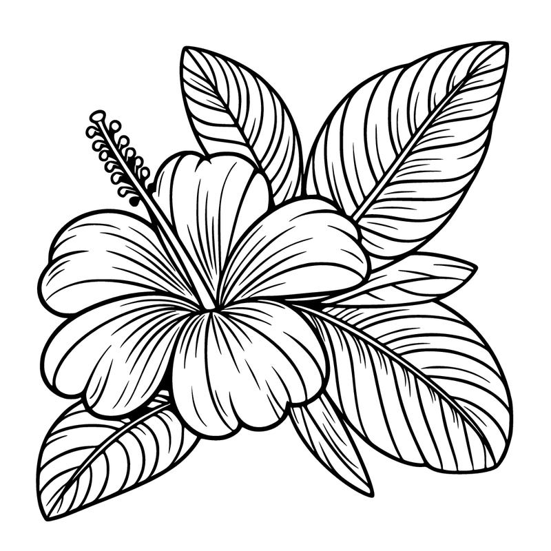 beautiful hawaiian flower