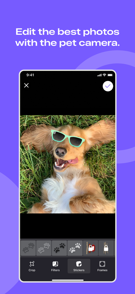 Screenshot of the Flockr app showing a dog photo being edited with green sunglasses stickers and camera tools