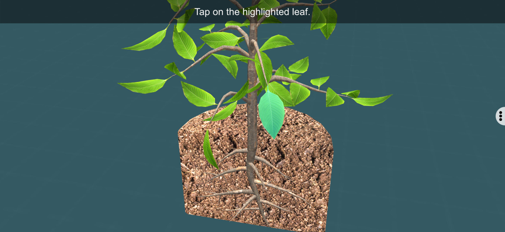Um diagrama interativo 3D de uma planta mostrando suas raízes e folhas com um comando para tocar em uma folha destacada.