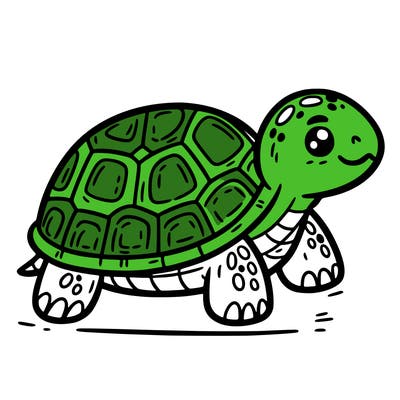 turtle