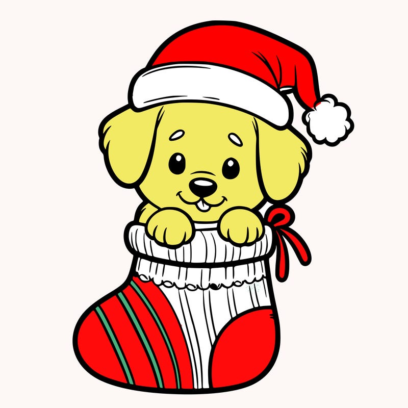 cute puppy wearing santa hat in socking