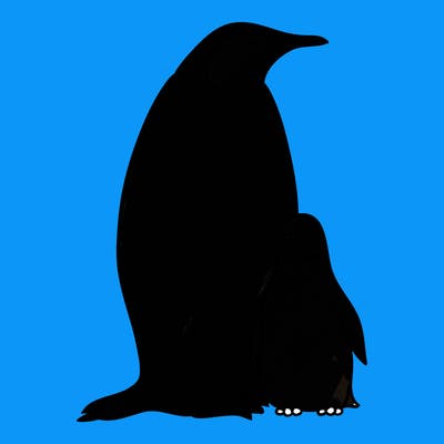 animals_31