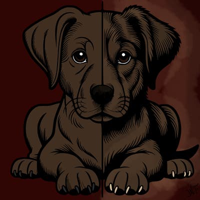 realistic dog split picture