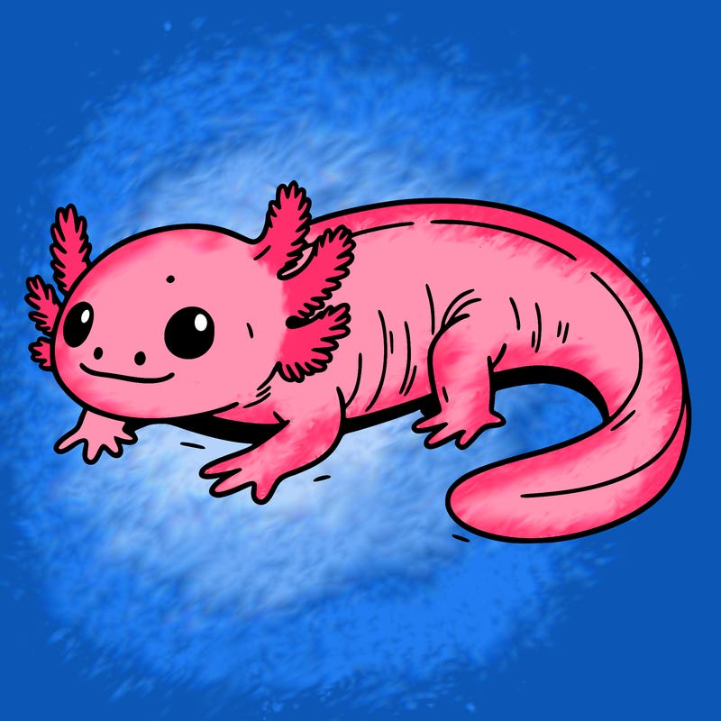 axolotl