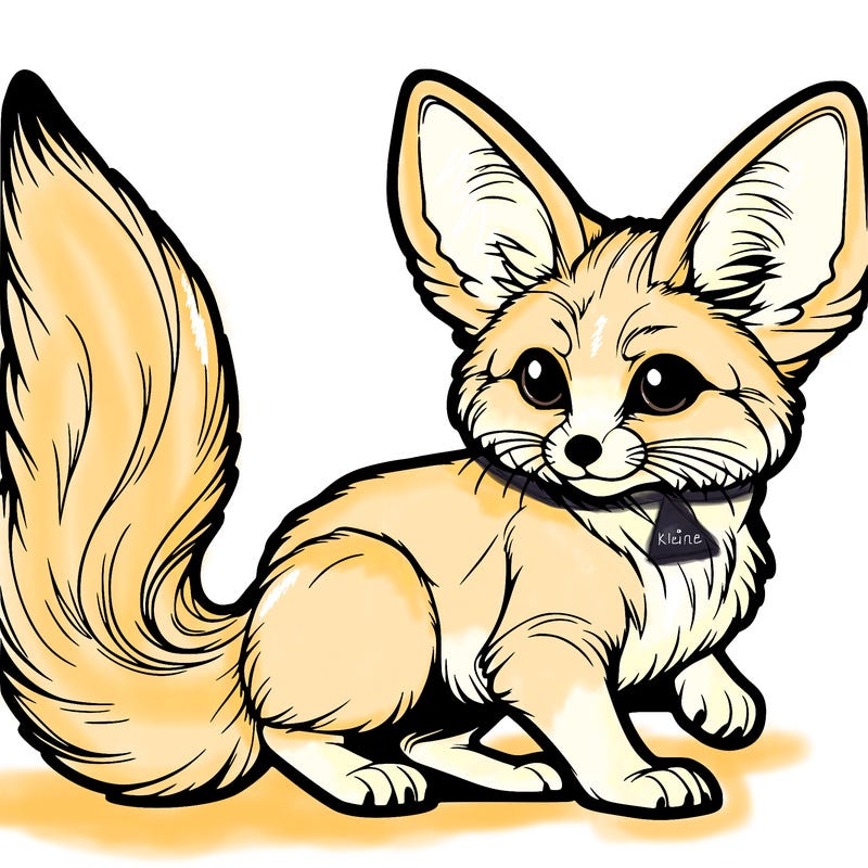 fennec fox out line
