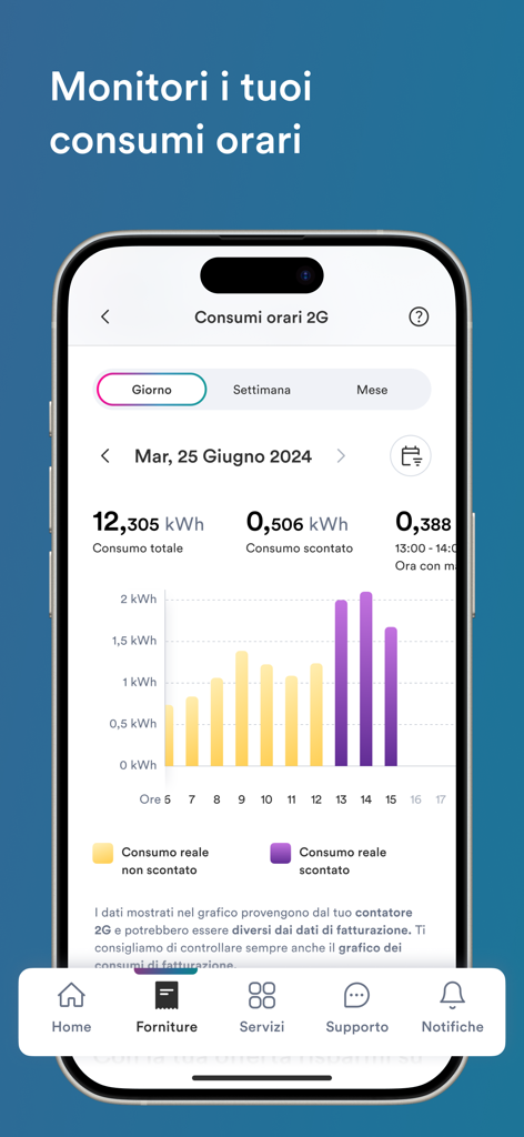 The My Hera mobile app displaying an hourly energy consumption graph on a smartphone screen