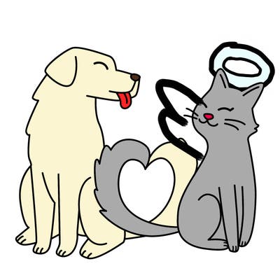 animals_22