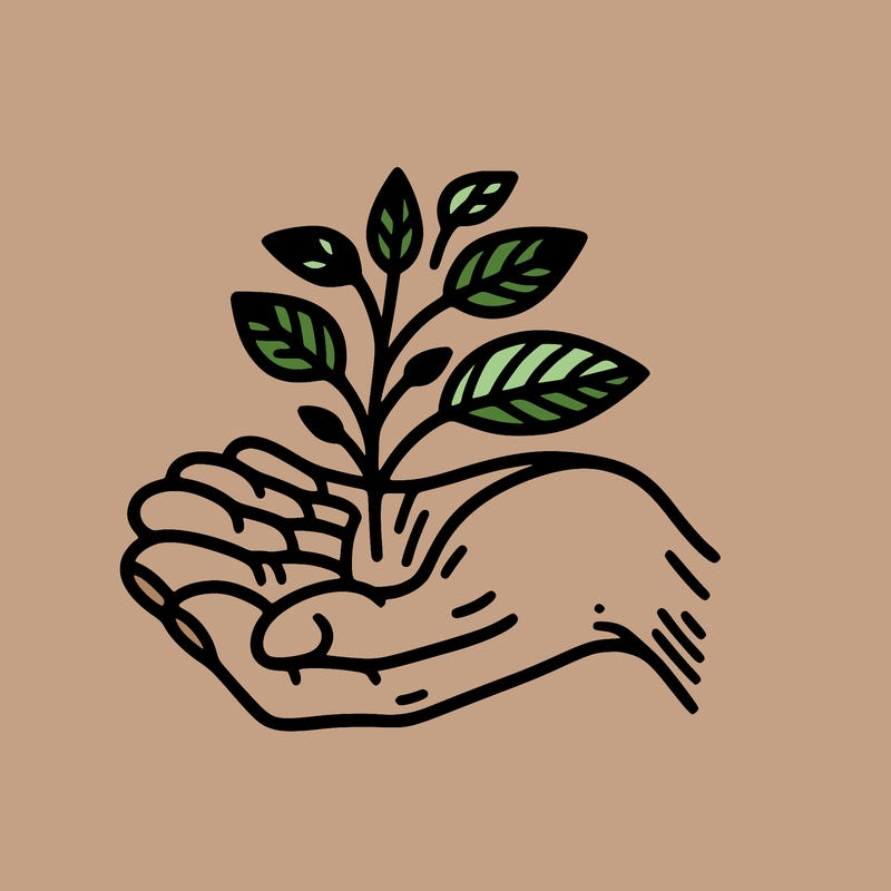 hand with plant