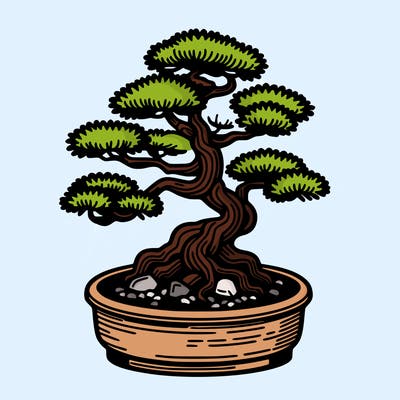 japan bonsai