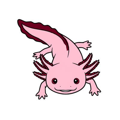 axolotl