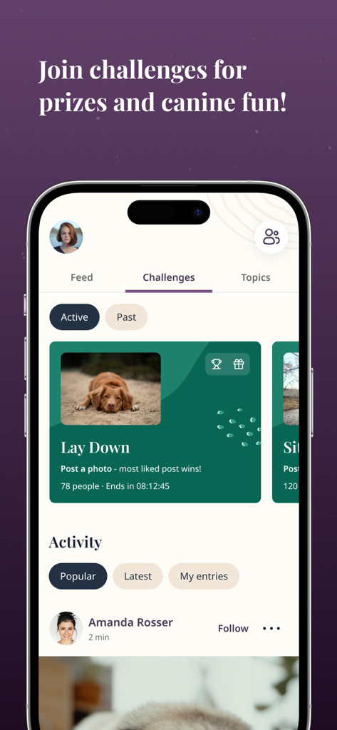 Petli app interface showing dog training challenges and a social community feed for pet owners