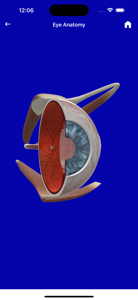 Eye Handbook - 3D cross section model of human eye anatomy within the Eye Handbook app