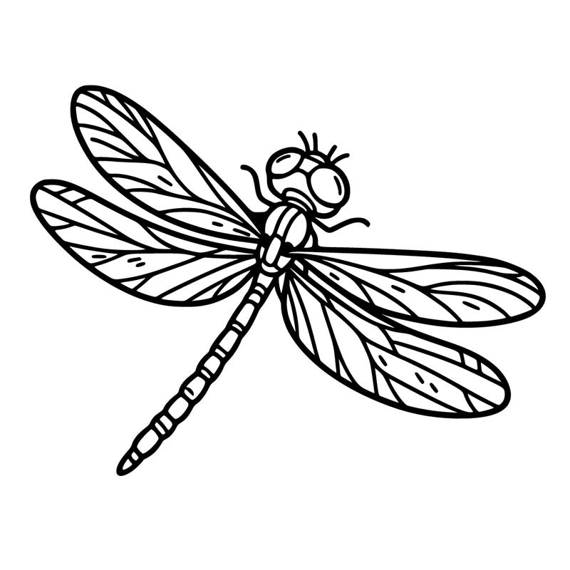 dragonfly