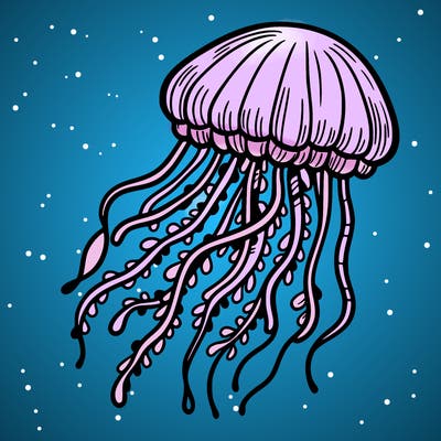 jellyfish