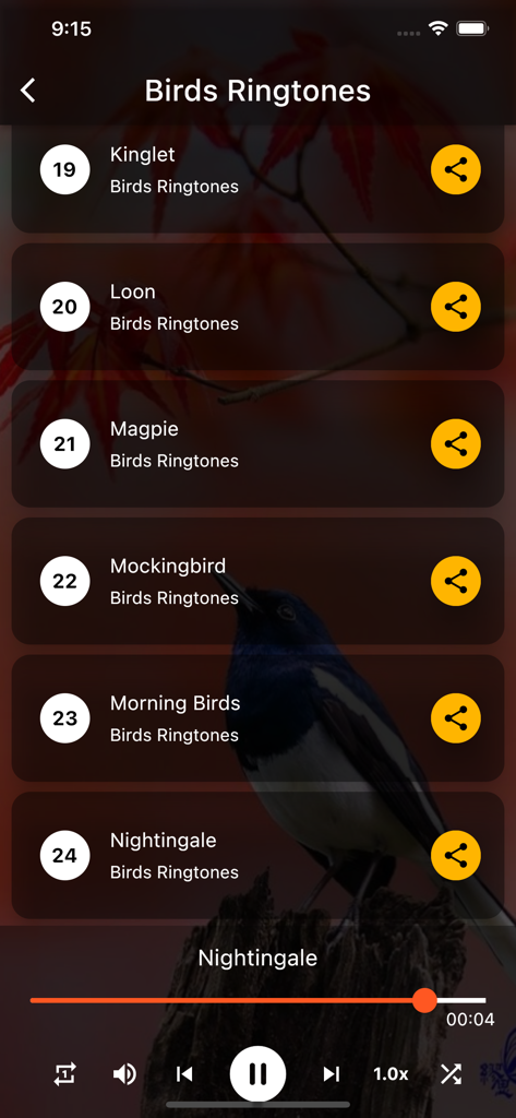 Birds Ringtones - A list of bird ringtone options including Kinglet Loon Magpie Mockingbird Morning Birds and Nightingale in a mobile app