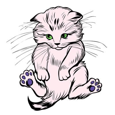 animals_20