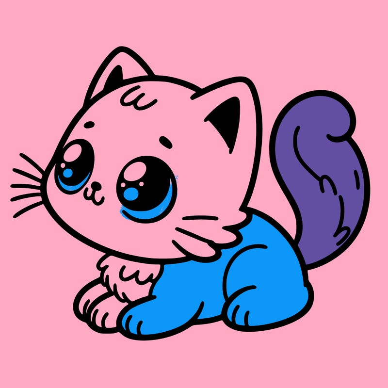 cat