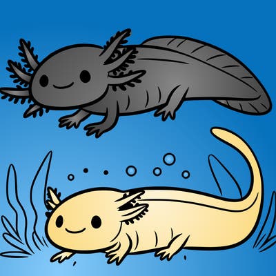 axolotl
