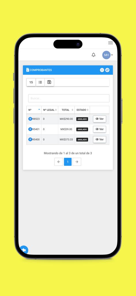 Netmas - Table of customer invoices and receipts within the Netmas app interface