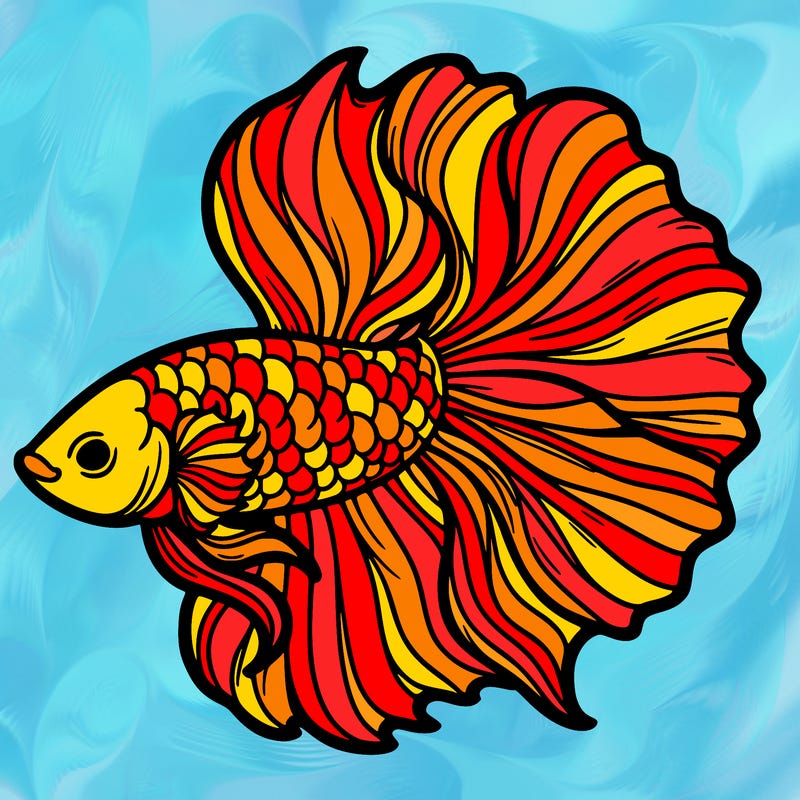 betta fish