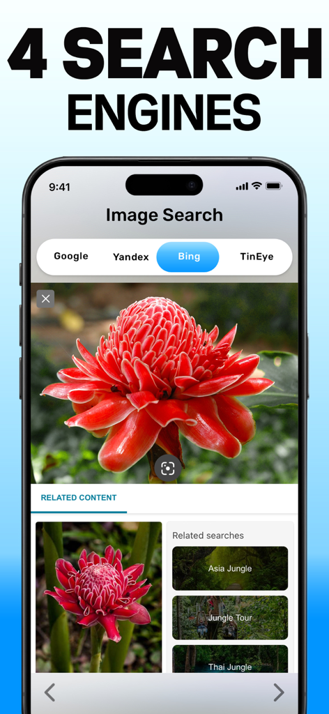 Image Search: ImageSearchTool - Interfaz de la aplicación móvil que muestra los resultados de búsqueda inversa de imágenes de una flor roja en varios motores de búsqueda, incluidos Google y Bing.