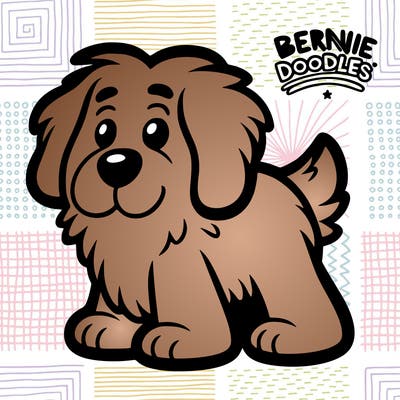 bernie doodles dog
