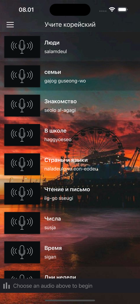 Учите корейский легко - Interface de um aplicativo de aprendizado de coreano mostrando uma lista de aulas de áudio em português.