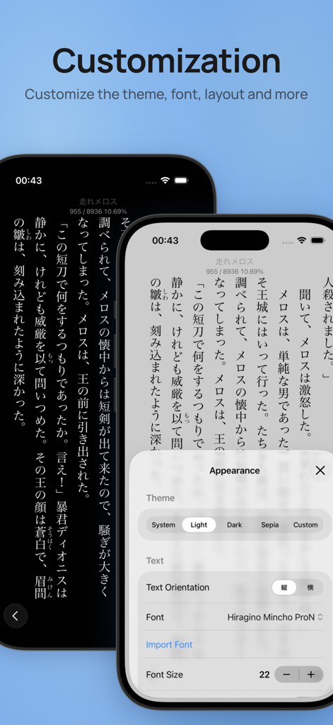 Hoshi Reader - Interfaz de la aplicación Hoshi Reader que muestra las opciones de personalización de apariencia para la lectura de texto vertical japonés y temas