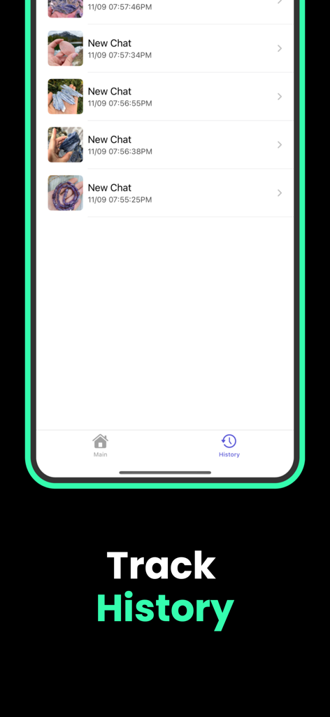 Rock & Stone Identifier AI IBG - Una lista de rocas y cristales previamente identificados en el registro de historial de la aplicación.