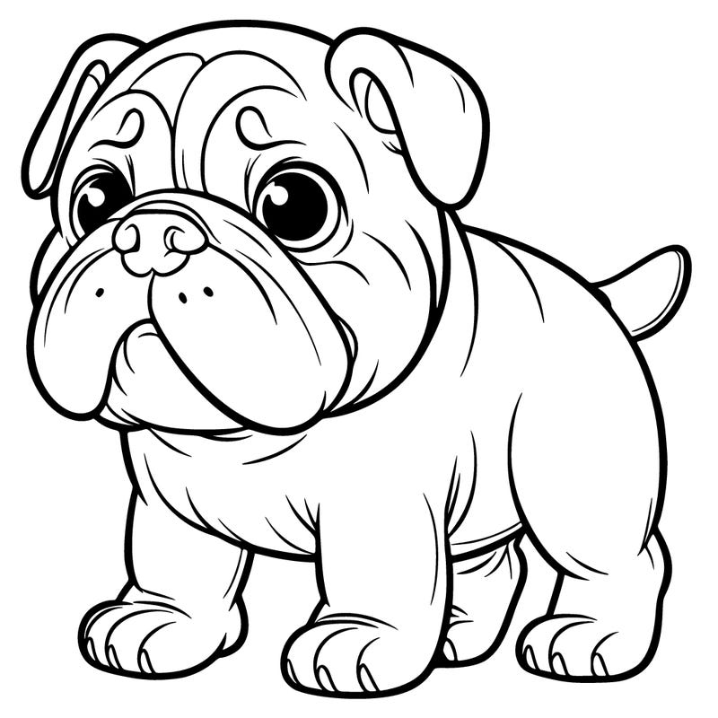 bulldog
