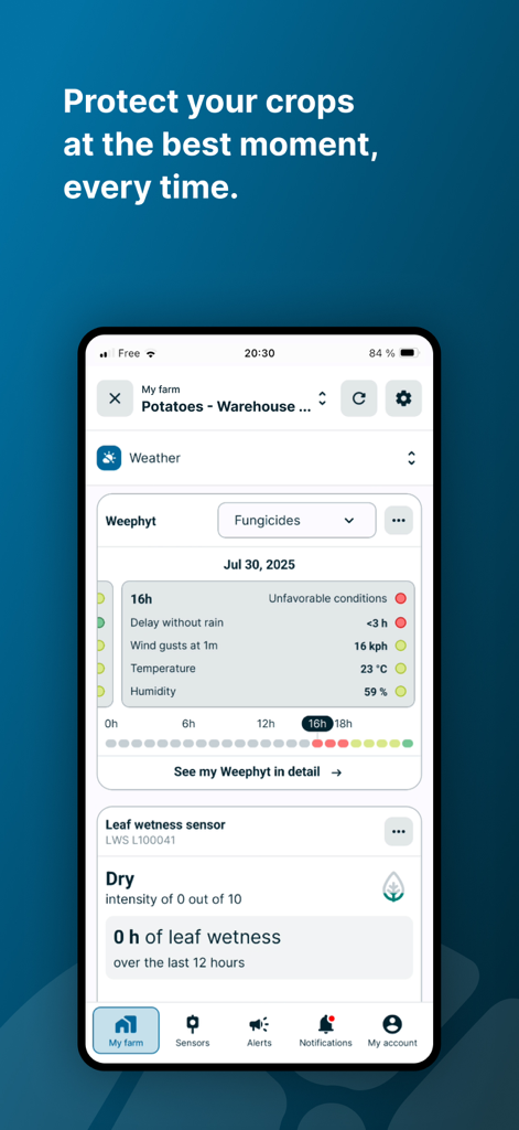 Weenat - Interfaccia dell'app mobile Weenat che mostra raccomandazioni per la protezione delle colture e dati dei sensori di bagnatura fogliare