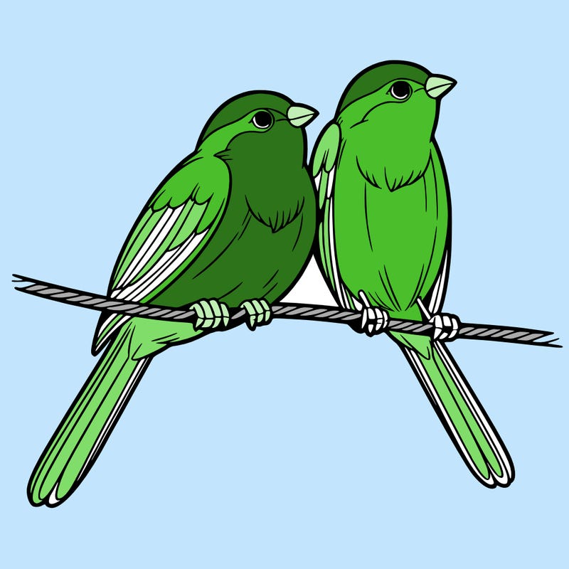 two realistic birds on a wire