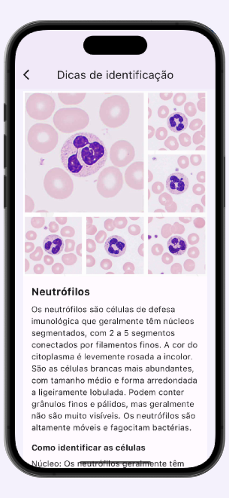 Leucogram | wbc counter - Guía de identificación de neutrófilos con imágenes microscópicas de células.