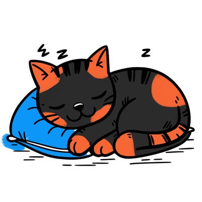 cat sleeping