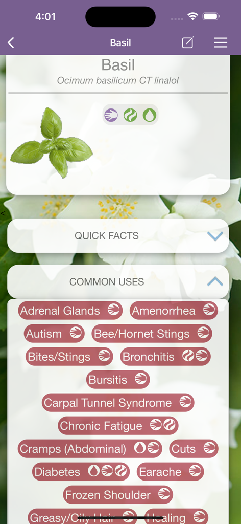 Pantalla de la aplicación Modern Essentials Plus que muestra usos comunes para la salud del aceite esencial de Albahaca, como glándulas suprarrenales y bronquitis.