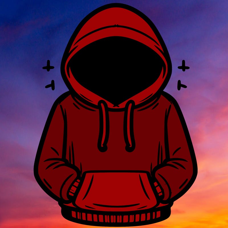 hoodie