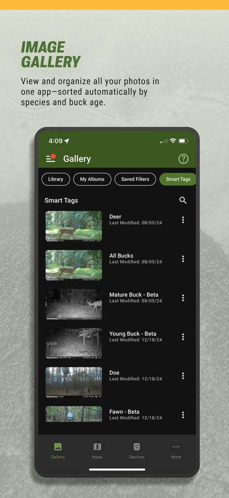 Moultrie - A screenshot of the Moultrie app image gallery showing automated smart tags for deer species and buck age classification.