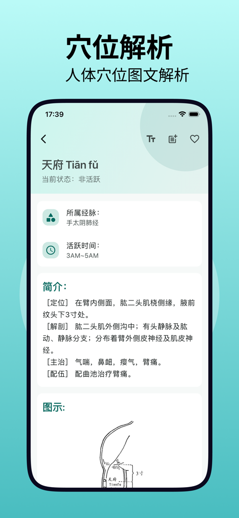 Detailed analysis of the Tianfu acupuncture point including meridian information and anatomical diagram