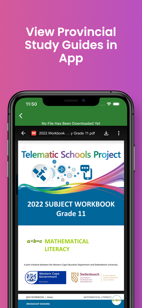 Screenshot of the Grade 11 Study Guides app displaying a PDF workbook for Mathematical Literacy on an iPhone.