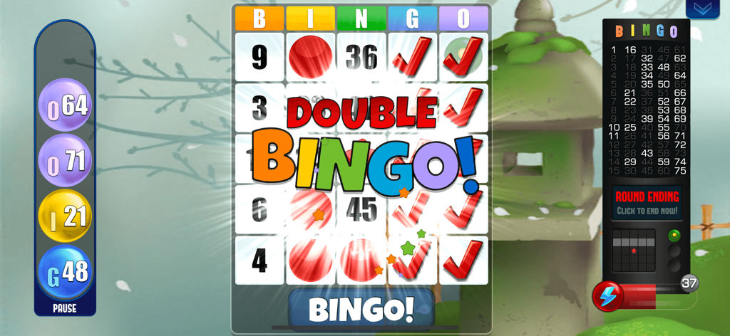 Absolute Bingo! Play Fun Games - Gameplay screen of Absolute Bingo showing a Double Bingo win with a Japanese garden background