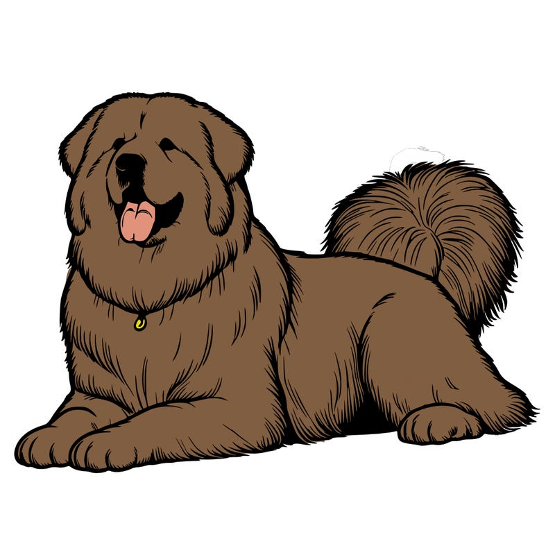 realistic great pyramese on its back dog