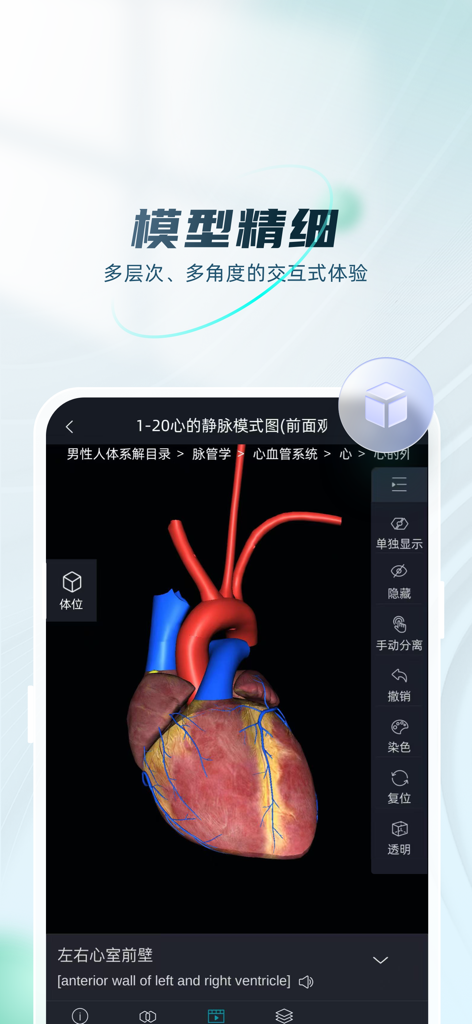 数字人解剖学STEM系统 - High precision 3D interactive heart model in the Digital Human Anatomy STEM System mobile app